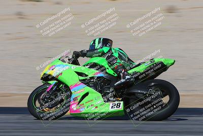 media/Feb-04-2024-SoCal Trackdays (Sun) [[91d6515b1d]]/4-Bowl Backside (11am)/